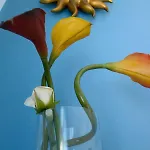 Uno Sguardo Sui Sassi לינה וארוחת בוקר 3*