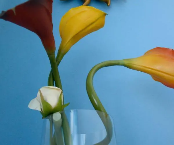 Uno Sguardo Sui Sassi Bed & Breakfast 3*